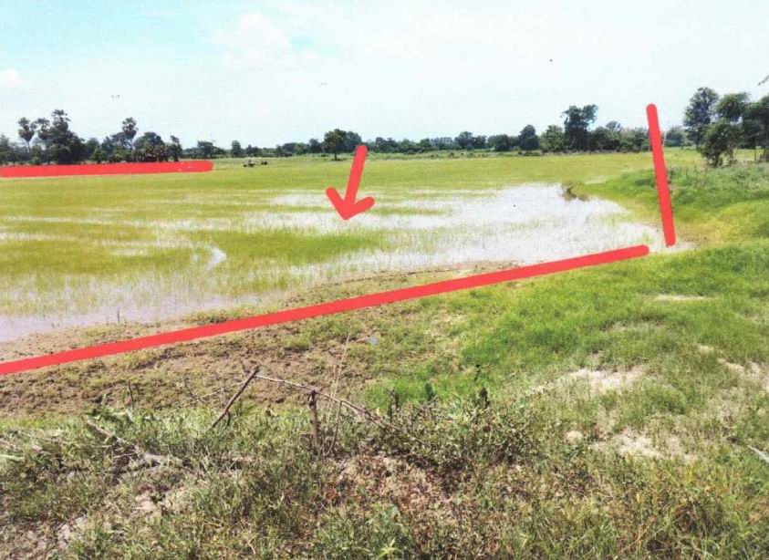ขายทอดตลาด ที่ดินว่างเปล่า ต.ท่าขมิ้น อ.โพทะเล จ.พิจิตร