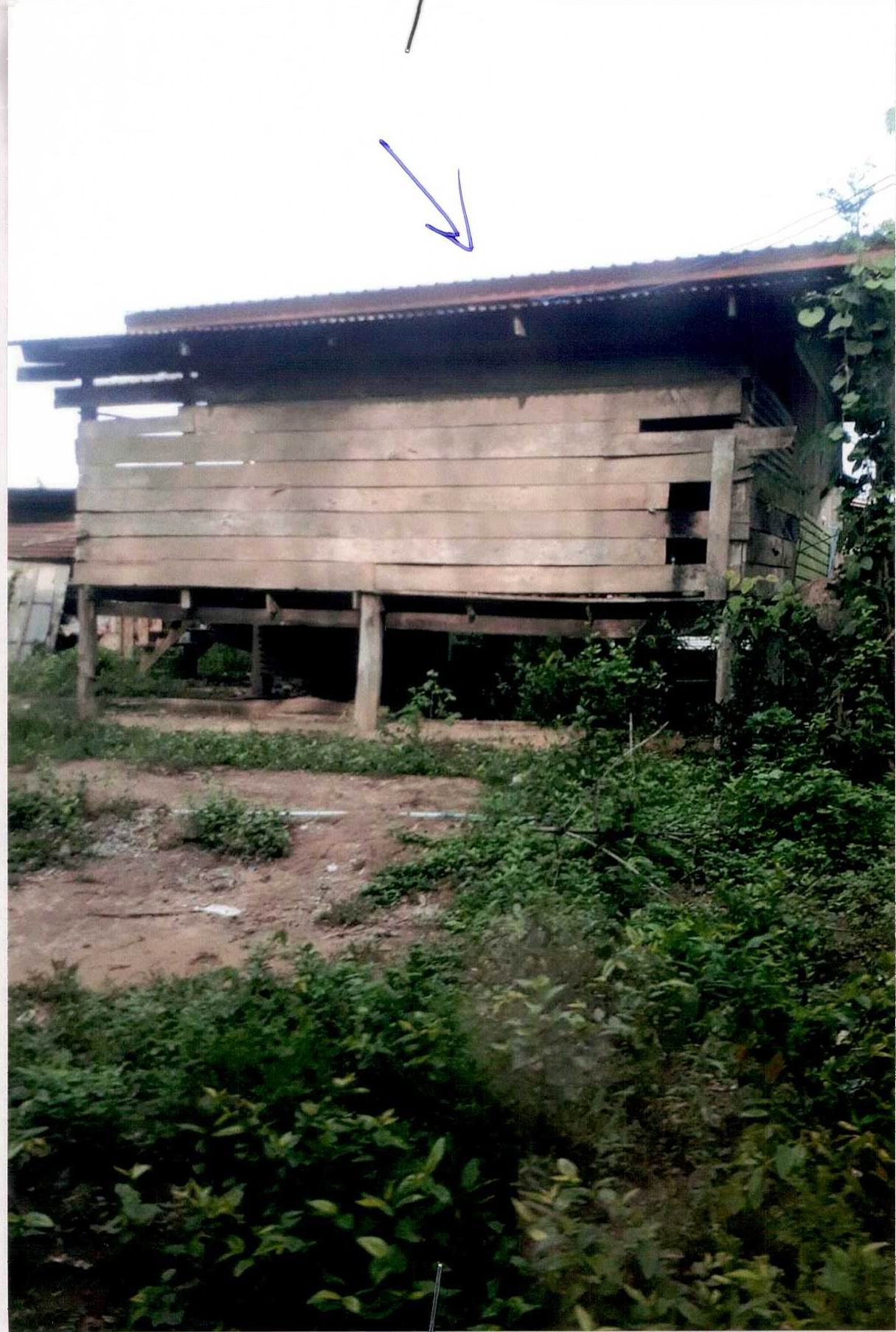 ขายทอดตลาด ที่ดินพร้อมสิ่งปลูกสร้าง ต.หนองกุลา อ.บางระกำ จ.พิษณุโลก