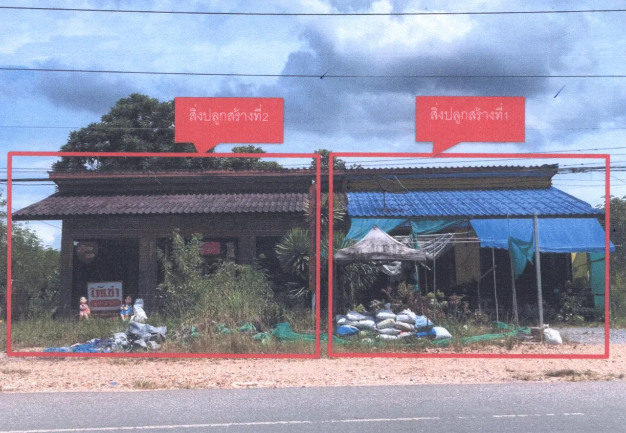 ขายทอดตลาด ที่ดินพร้อมสิ่งปลูกสร้าง ต.โคกสัก อ.บางแก้ว จ.พัทลุง