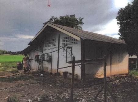 ขายทอดตลาด ที่ดินพร้อมสิ่งปลูกสร้าง ต.ท่าฬ่อ อ.เมืองพิจิตร จ.พิจิตร