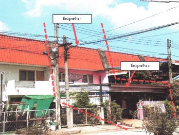 ขายทอดตลาด ที่ดินพร้อมสิ่งปลูกสร้าง ต.บึงพระ อ.เมืองพิษณุโลก จ.พิษณุโลก