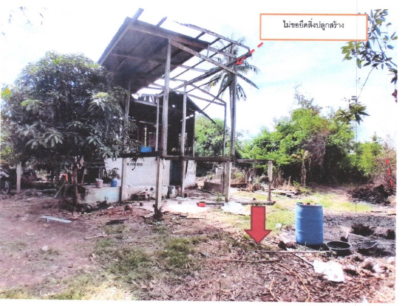 ขายทอดตลาด ที่ดินว่างเปล่า จ.พิจิตร