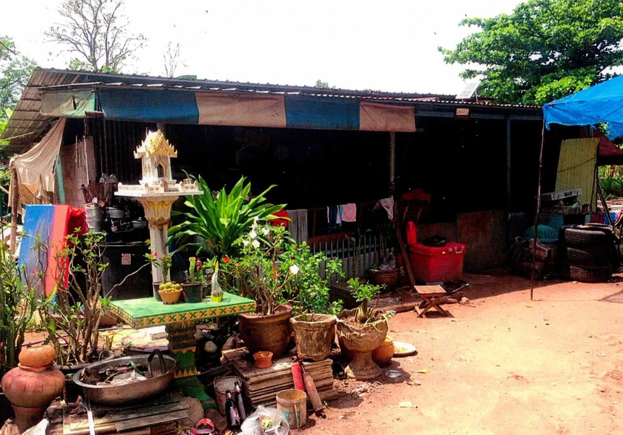ขายทอดตลาด ที่ดินพร้อมสิ่งปลูกสร้าง ต.ดินทอง อ.วังทอง จ.พิษณุโลก