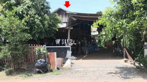 ขายทอดตลาด ที่ดินพร้อมสิ่งปลูกสร้าง ต.ฆ้องชัยพัฒนา อ.ฆ้องชัย จ.กาฬสินธุ์