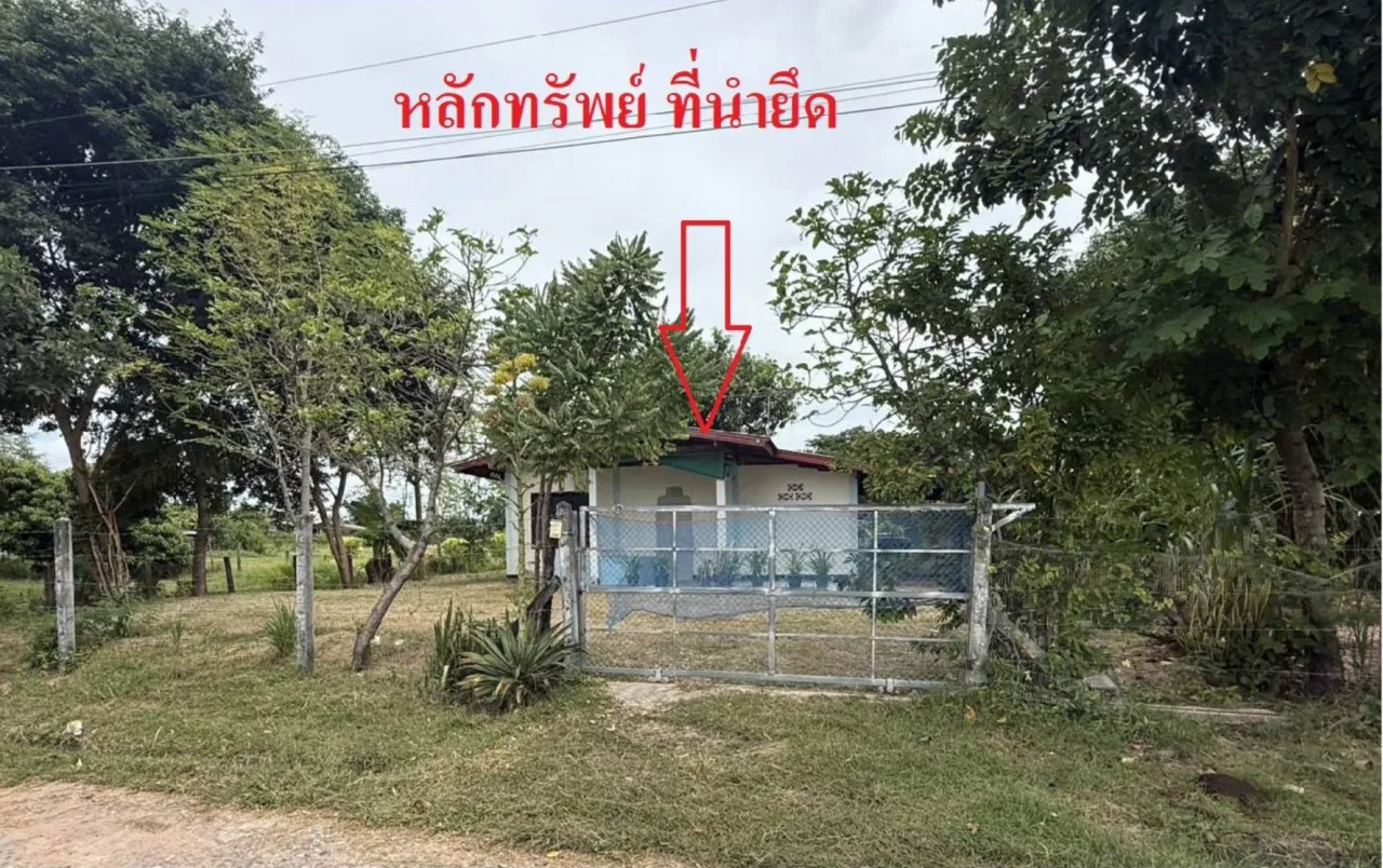 ขายทอดตลาด ที่ดินพร้อมสิ่งปลูกสร้าง ต.วังใหม่ อ.บรบือ จ.มหาสารคาม