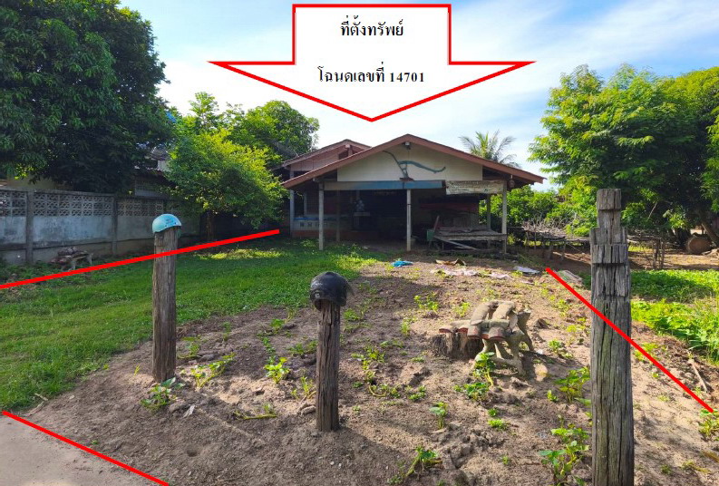 ขายทอดตลาด ที่ดินพร้อมสิ่งปลูกสร้าง ต.สามง่าม อ.สามง่าม จ.พิจิตร