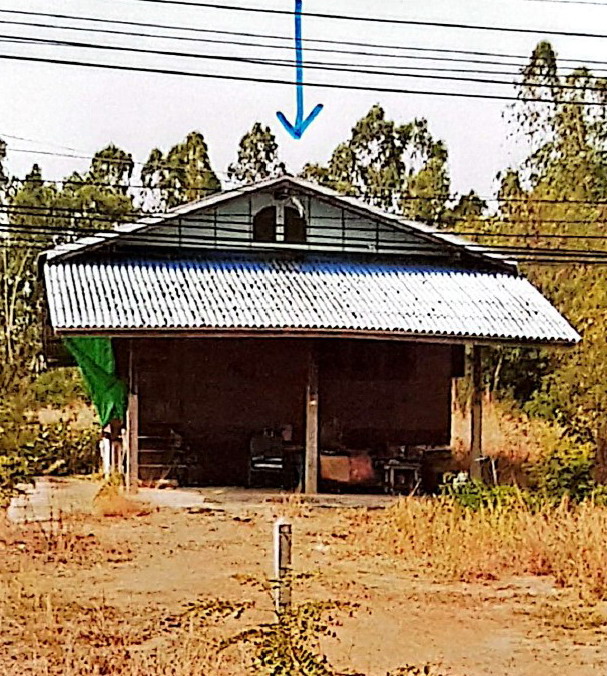 ขายทอดตลาด ที่ดินพร้อมสิ่งปลูกสร้าง ต.เขาเจ็ดลูก อ.ทับคล้อ จ.พิจิตร