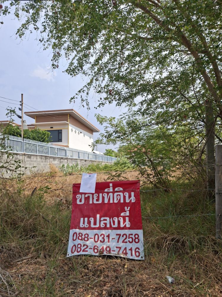ขายทอดตลาด ที่ดินว่างเปล่า ต.ปะหลาน อ.พยัคฆภูมิพิสัย จ.มหาสารคาม