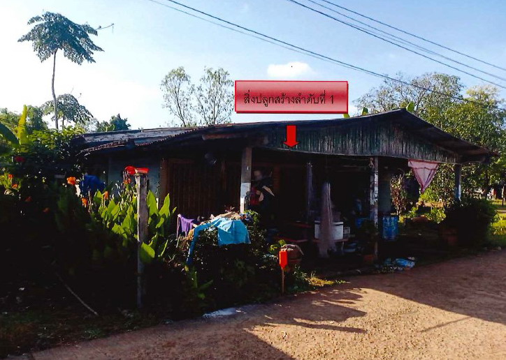 ขายทอดตลาด ที่ดินพร้อมสิ่งปลูกสร้าง ต.(วังงิ้ว) วังงิ้วใต้ อ.ดงเจริญ จ.พิจิตร