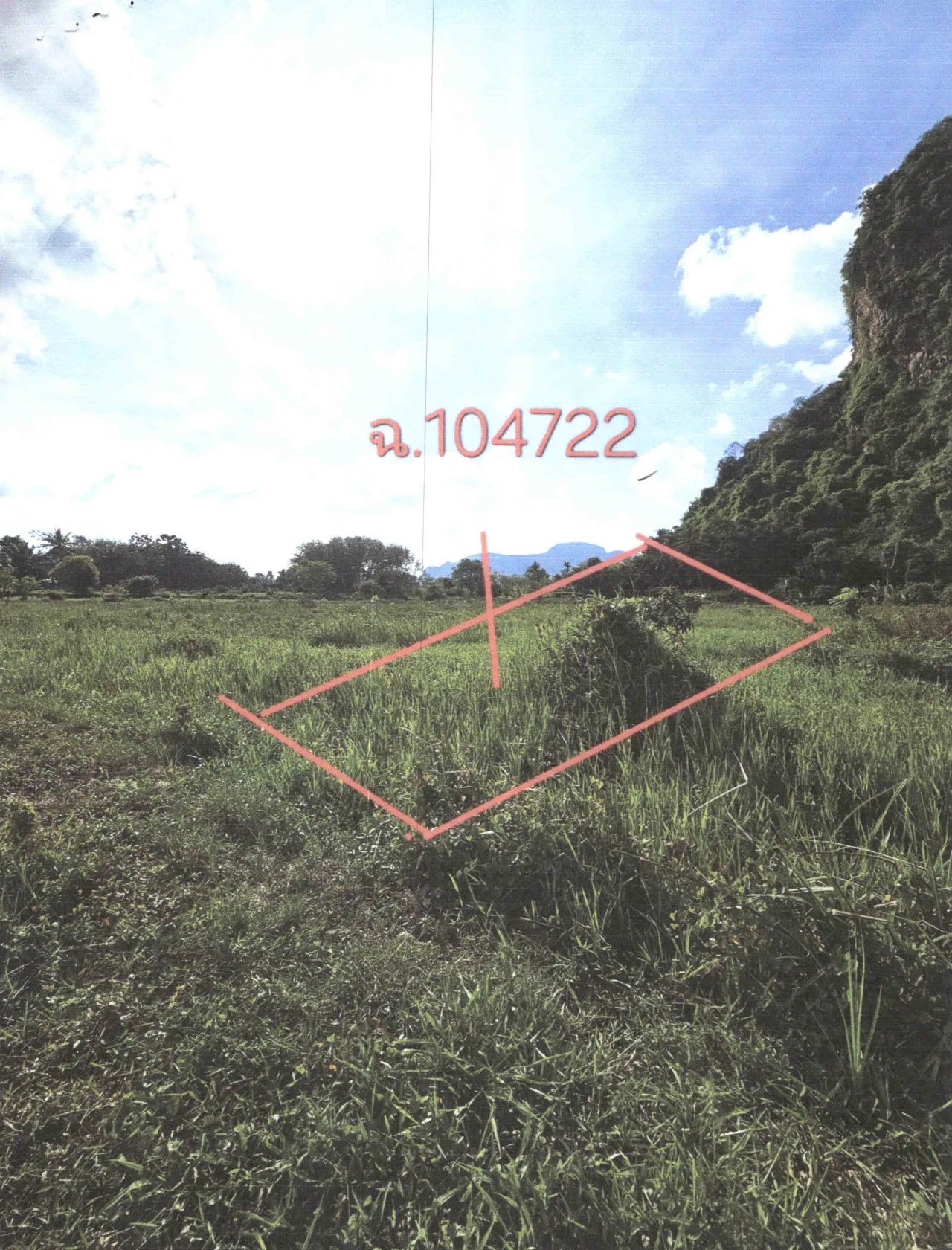 ขายทอดตลาด ที่ดินว่างเปล่า จ.พัทลุง