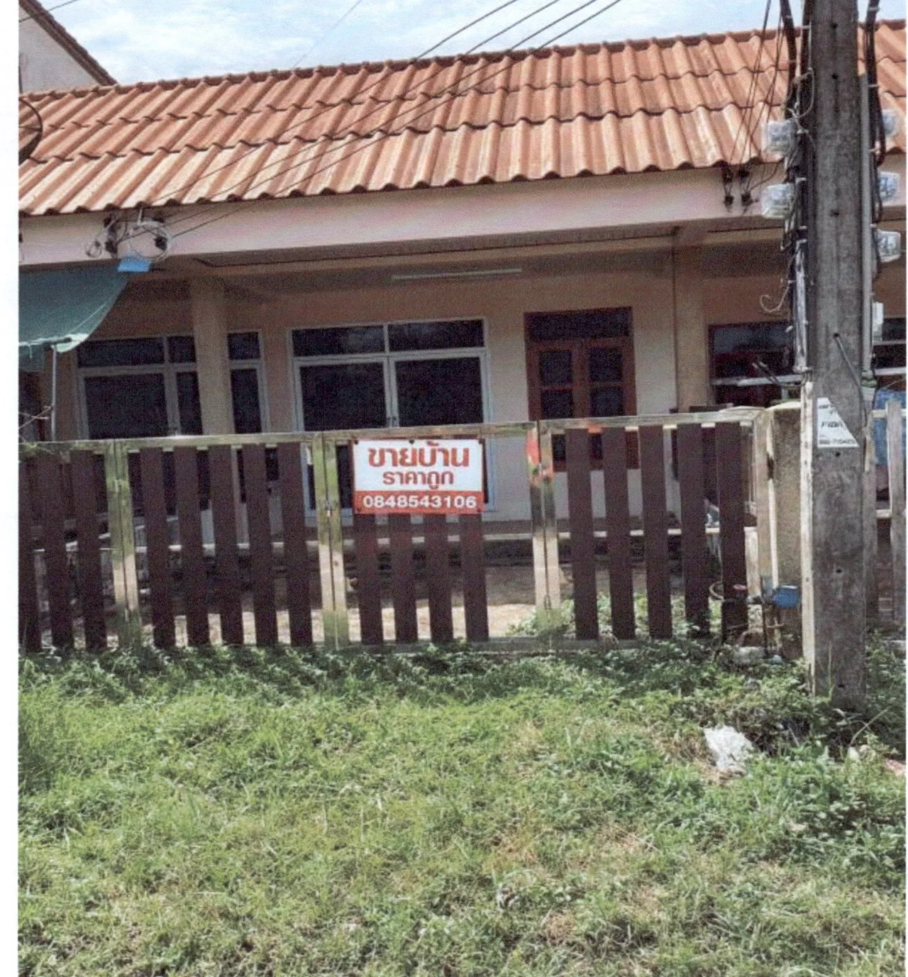 ขายทอดตลาด ที่ดินพร้อมสิ่งปลูกสร้าง ต.ท่ามะเดื่อ อ.บางแก้ว จ.พัทลุง