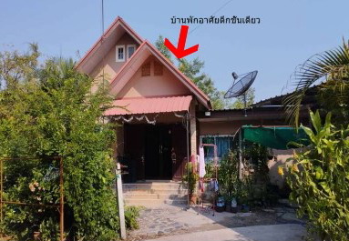 ขายทอดตลาด ที่ดินพร้อมสิ่งปลูกสร้าง ต.บ้านป่า อ.เมืองพิษณุโลก จ.พิษณุโลก