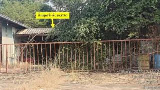 รูปทรัพย์ 2