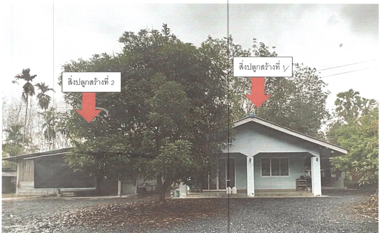 ขายทอดตลาด ที่ดินพร้อมสิ่งปลูกสร้าง ต.ชะมวง อ.ควนขนุน จ.พัทลุง