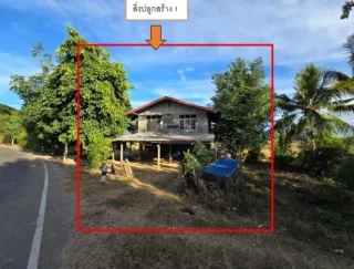 รูปทรัพย์ 2