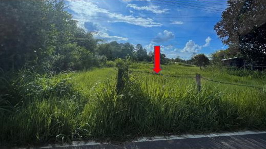 ขายทอดตลาด ที่ดินว่างเปล่า ต.ดงบัง อ.นาดูน จ.มหาสารคาม
