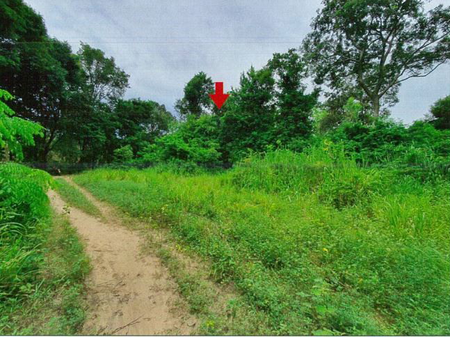 ขายทอดตลาด ที่ดินว่างเปล่า ต.ดงเมือง อ.ยางสีสุราช จ.มหาสารคาม