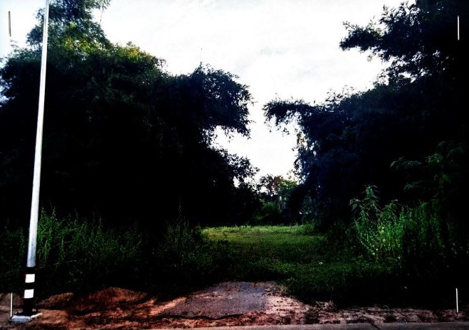 ขายทอดตลาด ที่ดินว่างเปล่า ต.เหล่าดอกไม้ อ.ชื่นชม จ.มหาสารคาม