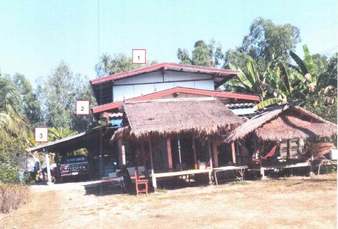 ขายทอดตลาด ที่ดินพร้อมสิ่งปลูกสร้าง ต.เนินกุ่ม อ.บางกระทุ่ม จ.พิษณุโลก