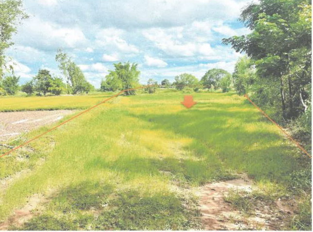 ขายทอดตลาด ที่ดินว่างเปล่า ต.เสือโก้ก อ.วาปีปทุม จ.มหาสารคาม