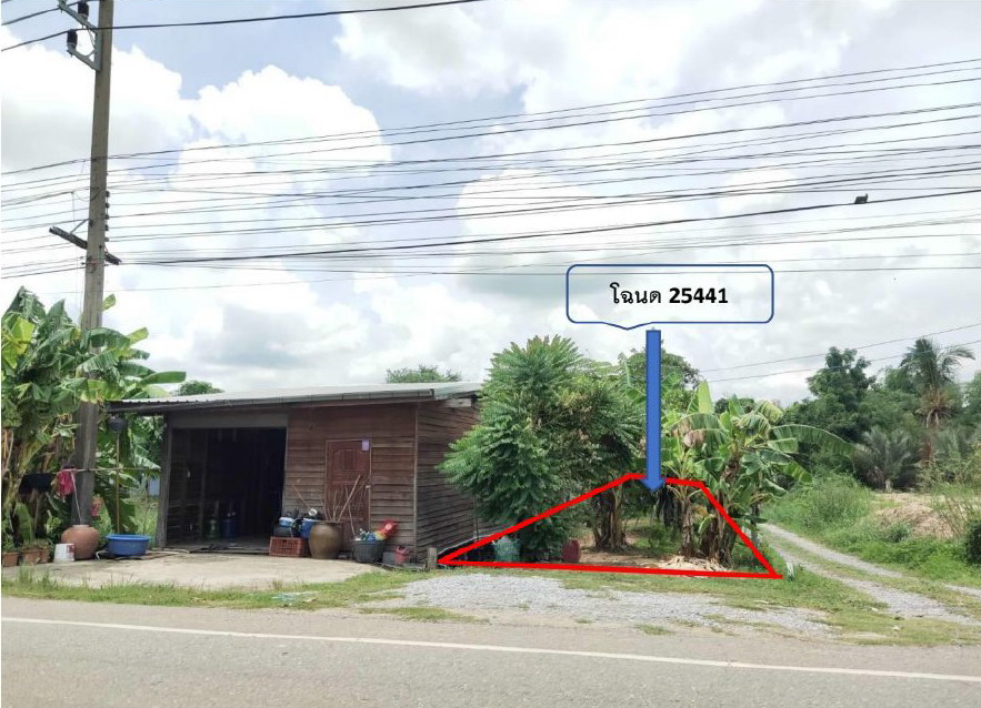 ขายทอดตลาด ที่ดินว่างเปล่า ต.ท้ายน้ำ อ.โพทะเล จ.พิจิตร