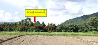 รูปทรัพย์ 1