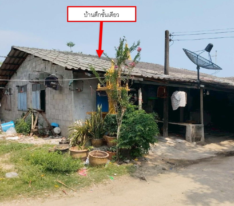 ขายทอดตลาด ที่ดินพร้อมสิ่งปลูกสร้าง ต.ตะกาดเง้า อ.ท่าใหม่ จ.จันทบุรี