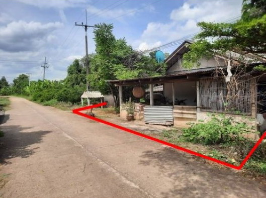 ขายทอดตลาด ที่ดินพร้อมสิ่งปลูกสร้าง ต.วังสำโรง อ.ตะพานหิน จ.พิจิตร