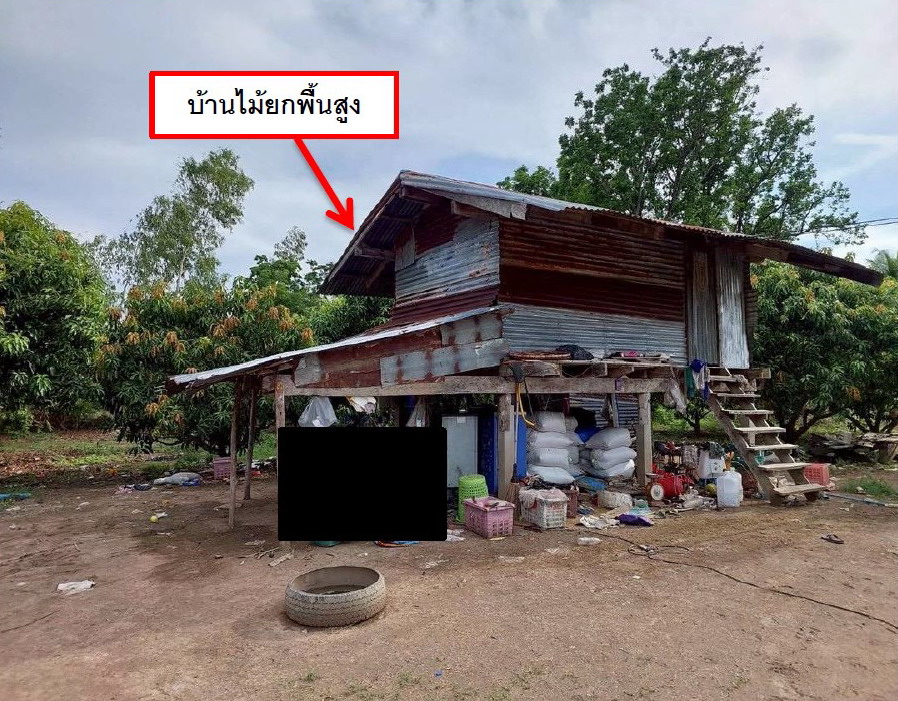 ขายทอดตลาด ที่ดินพร้อมสิ่งปลูกสร้าง ต.หนองปลาไหล อ.วังทรายพูน จ.พิจิตร