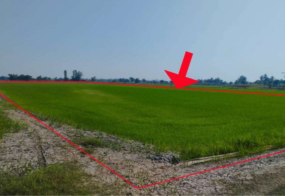 ขายทอดตลาด ที่ดินว่างเปล่า ต.ชุมแสงสงคราม อ.บางระกำ จ.พิษณุโลก