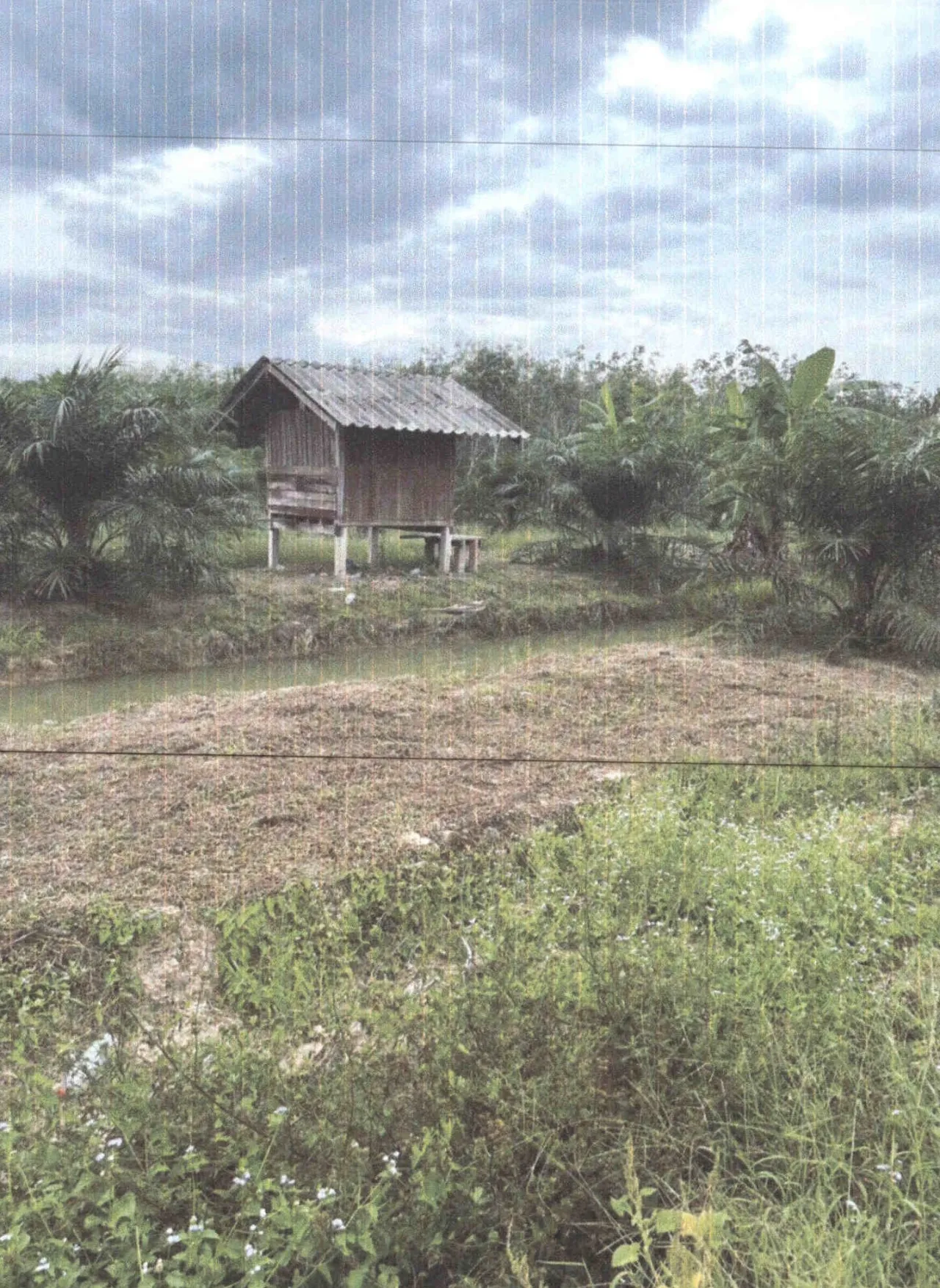 ขายทอดตลาด ที่ดินพร้อมสิ่งปลูกสร้าง ต.ตำนาน อ.เมืองพัทลุง จ.พัทลุง