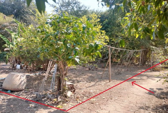 ขายทอดตลาด ที่ดินว่างเปล่า ต.เขาทราย อ.ทับคล้อ จ.พิจิตร