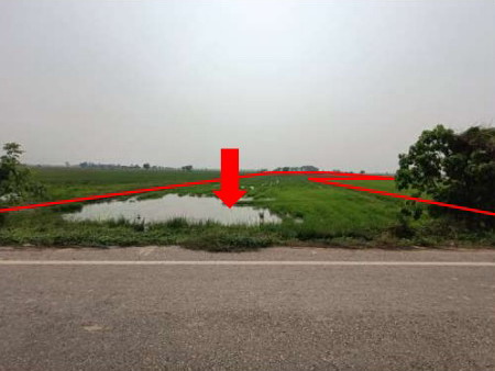 ขายทอดตลาด ที่ดินว่างเปล่า ต.ท่าช้าง อ.พรหมพิราม จ.พิษณุโลก