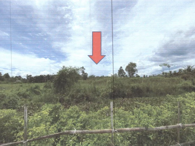ขายทอดตลาด ที่ดินว่างเปล่า ต.ลำปำ อ.เมืองพัทลุง จ.พัทลุง