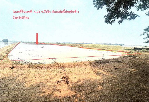ขายทอดตลาด ที่ดินว่างเปล่า ต.วังจิก อ.โพธิ์ประทับช้าง จ.พิจิตร
