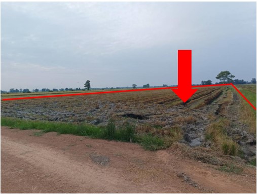 ขายทอดตลาด ที่ดินว่างเปล่า ต.ตลุกเทียม อ.พรหมพิราม จ.พิษณุโลก