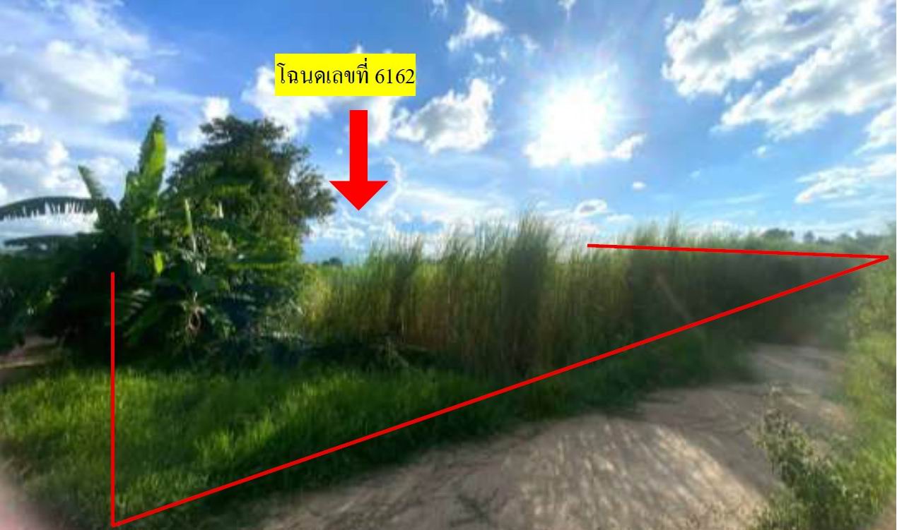 ขายทอดตลาด ที่ดินว่างเปล่า ต.วังโมกข์ อ.วชิรบารมี จ.พิจิตร