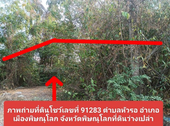 ขายทอดตลาด ที่ดินว่างเปล่า ต.หัวรอ อ.เมืองพิษณุโลก จ.พิษณุโลก