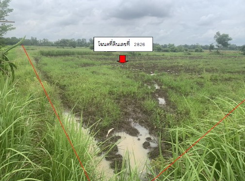 ขายทอดตลาด ที่ดินว่างเปล่า ต.สำนักขุนเณร อ.ดงเจริญ จ.พิจิตร
