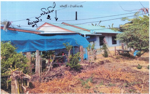 ขายทอดตลาด ที่ดินพร้อมสิ่งปลูกสร้าง ต.ห้วยพุก อ.ดงเจริญ จ.พิจิตร