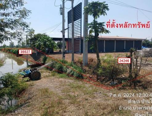 ขายทอดตลาด ที่ดินว่างเปล่า ต.บ้านไร่ อ.บางกระทุ่ม จ.พิษณุโลก