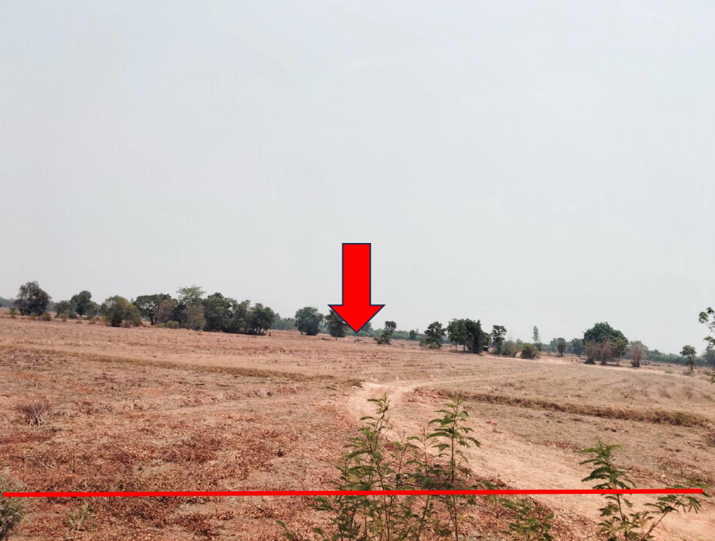 ขายทอดตลาด ที่ดินว่างเปล่า ต.โคกสีทองหลาง อ.วาปีปทุม จ.มหาสารคาม