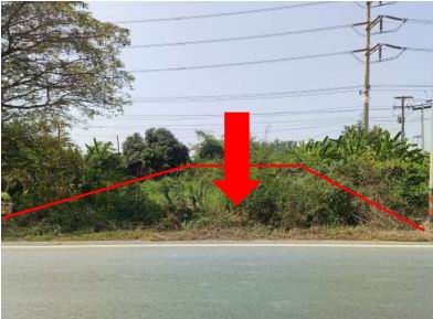 ขายทอดตลาด ที่ดินว่างเปล่า ต.หนองแขม อ.พรหมพิราม จ.พิษณุโลก