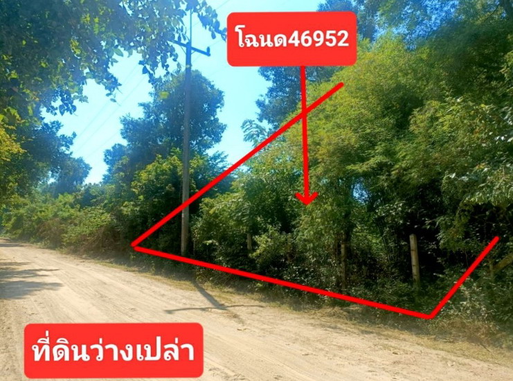 ขายทอดตลาด ที่ดินว่างเปล่า จ.มหาสารคาม