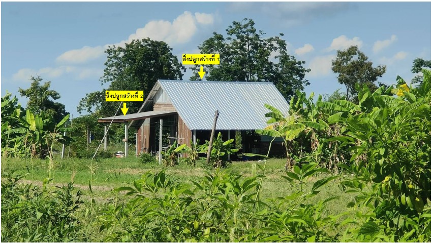 ขายทอดตลาด ที่ดินพร้อมสิ่งปลูกสร้าง ต.บึงบัว อ.วชิรบารมี จ.พิจิตร