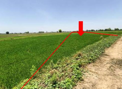 ขายทอดตลาด ที่ดินว่างเปล่า ต.พรหมพิราม อ.พรหมพิราม จ.พิษณุโลก