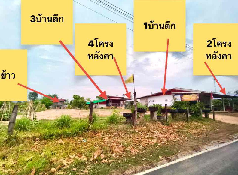 ขายทอดตลาด ที่ดินพร้อมสิ่งปลูกสร้าง ต.ดงยาง อ.นาดูน จ.มหาสารคาม