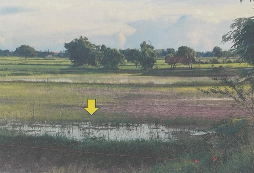 ขายทอดตลาด ที่ดินว่างเปล่า ต.ยางน้อย อ.โกสุมพิสัย จ.มหาสารคาม