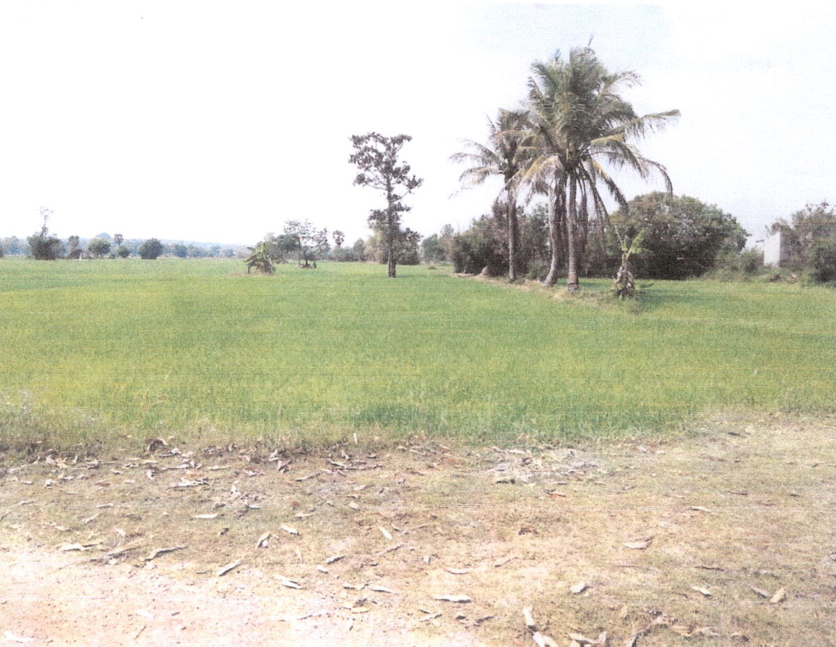 ขายทอดตลาด ที่ดินว่างเปล่า ต.บัวบาน อ.ยางตลาด จ.กาฬสินธุ์