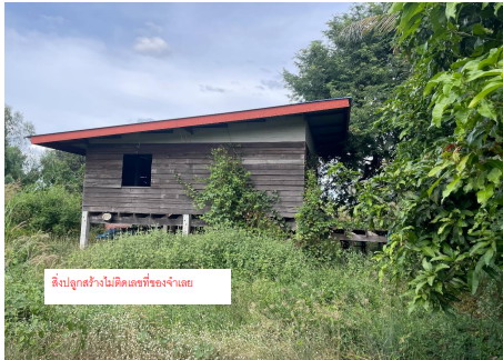 ขายทอดตลาด ที่ดินพร้อมสิ่งปลูกสร้าง ต.วังพิกุล อ.วังทอง จ.พิษณุโลก